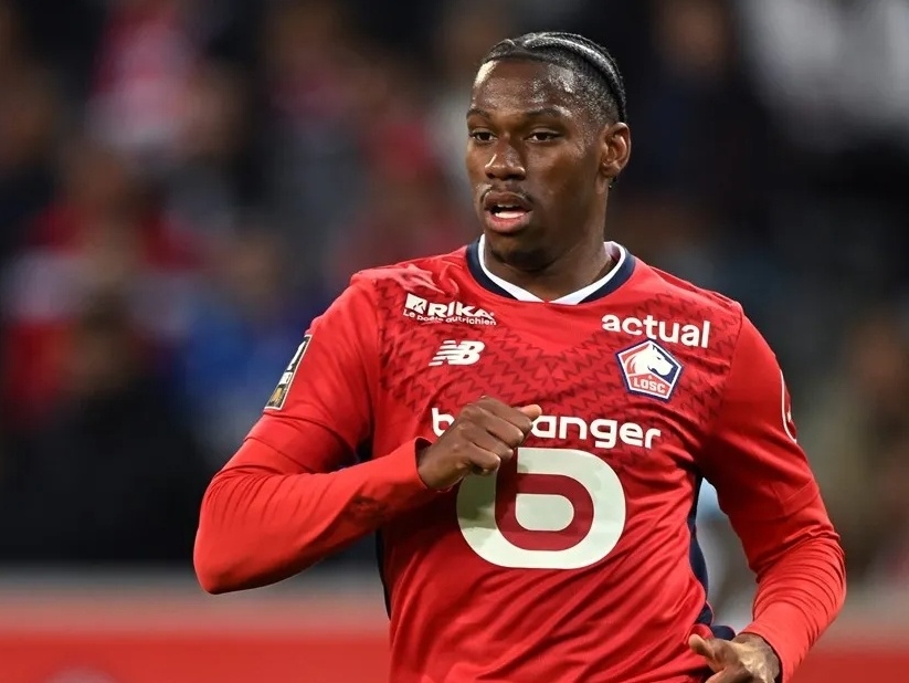 术调整上的 术调整上的